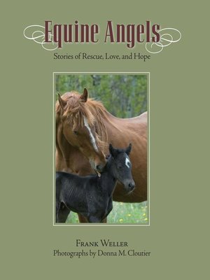 cover image of Equine Angels